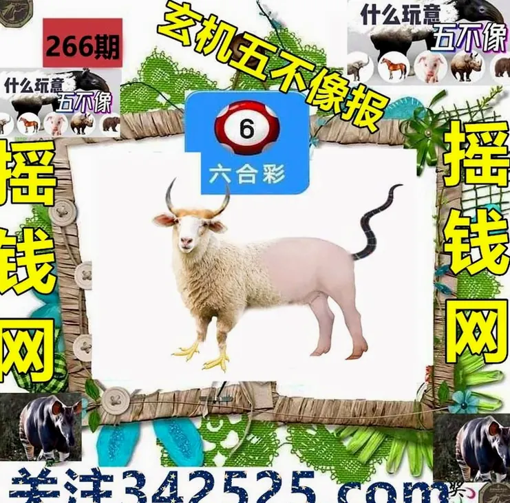 港彩开奖